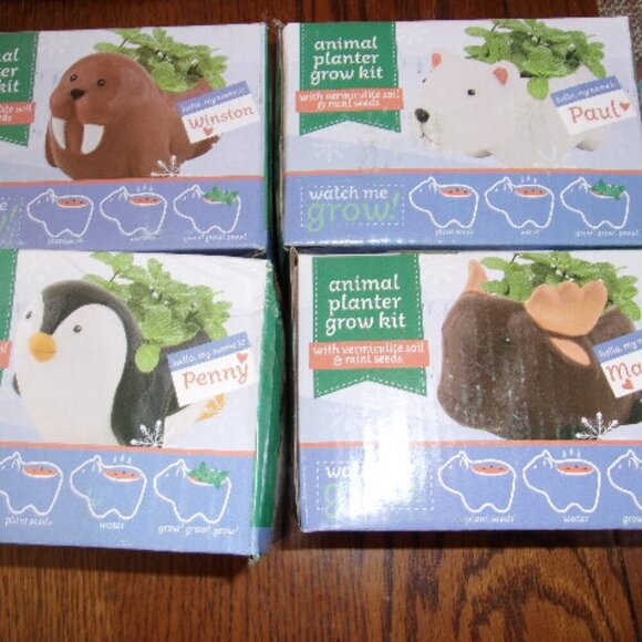 Lot of 4 Succulent Planters-Penguin, moose, polar bear, walrus new in boxes - Picture 1 of 2